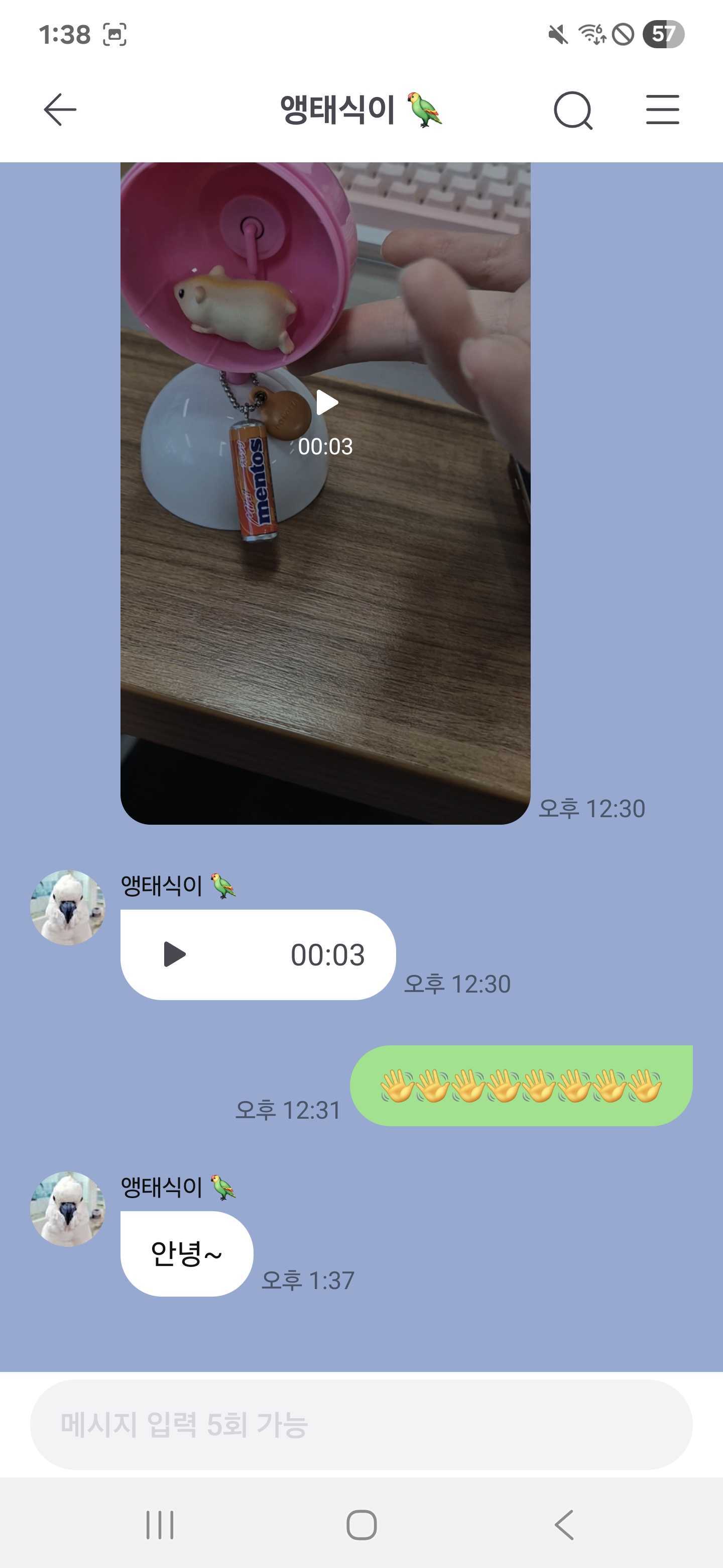 채팅방 테마